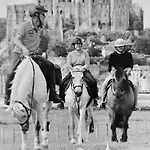 3 Places- Le Tombelaine La Taniere Le Mont Saint Michel Pontorson