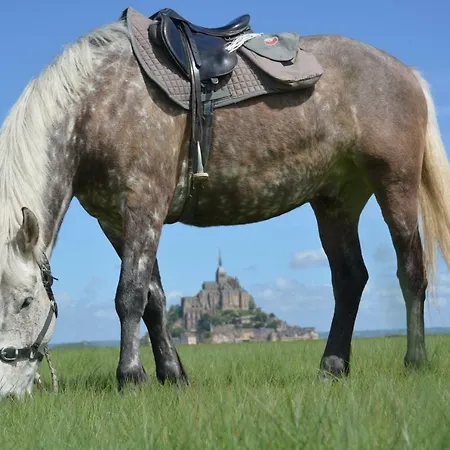 3 Places- Le Tombelaine La Taniere Le Mont Saint Michel *