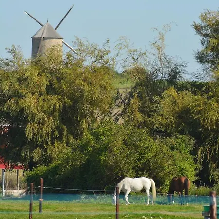 3 Places- Mont-saint-michel- La Taniere Le Tombelaine * Pontorson