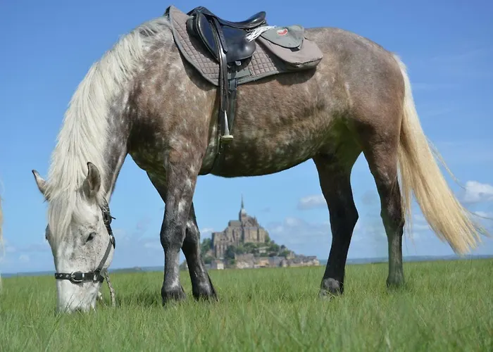 3 Places- Le Tombelaine La Taniere Le Mont Saint Michel *