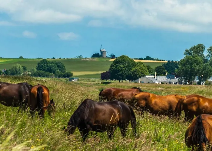 3 Places- Le Tombelaine La Taniere Le Mont Saint Michel Apartamento